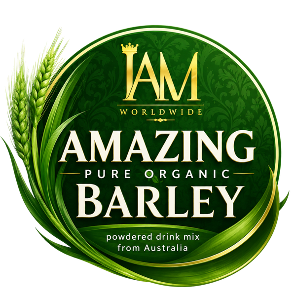 IAM Amazing Online Store